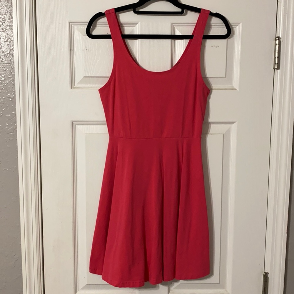 Express Skater Dress